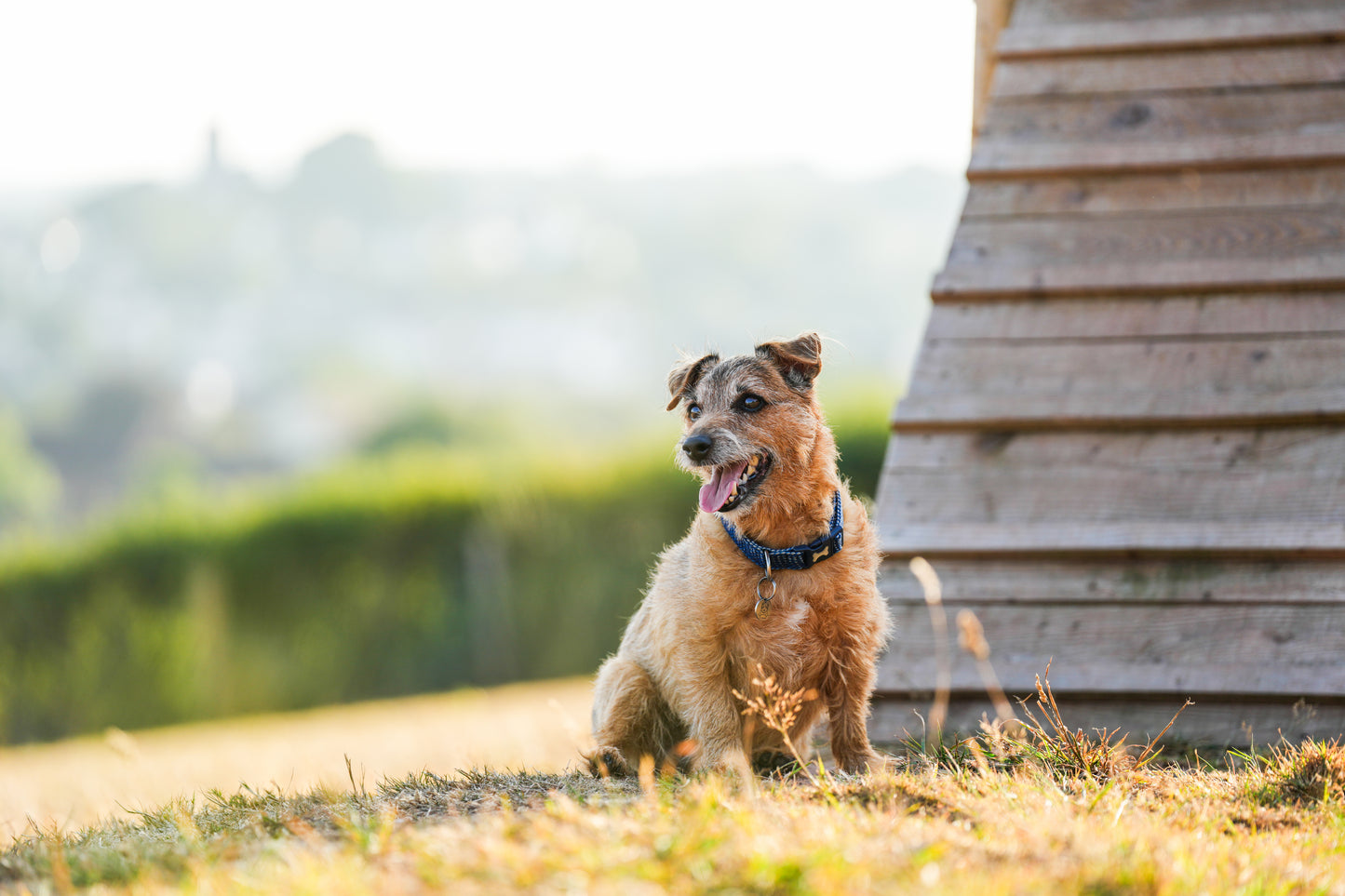 Dog Park Booking